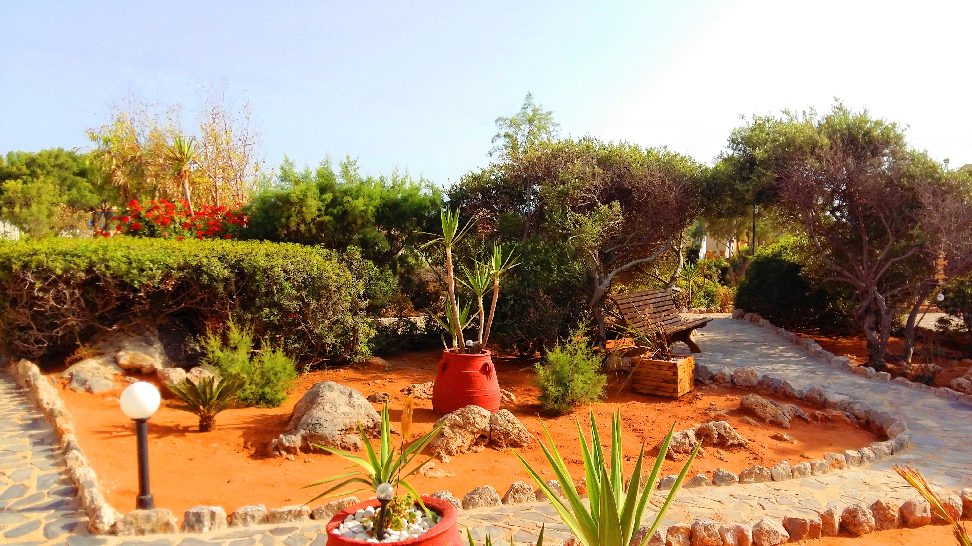 Hotel Zorbas Beach Village