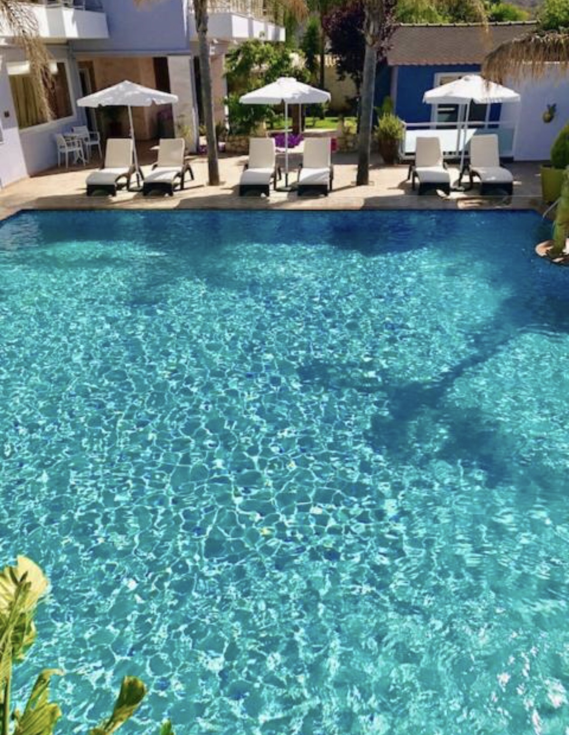 Paradice Hotel