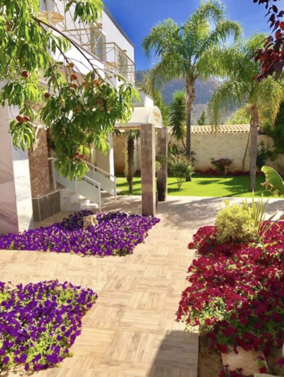 Paradice Hotel