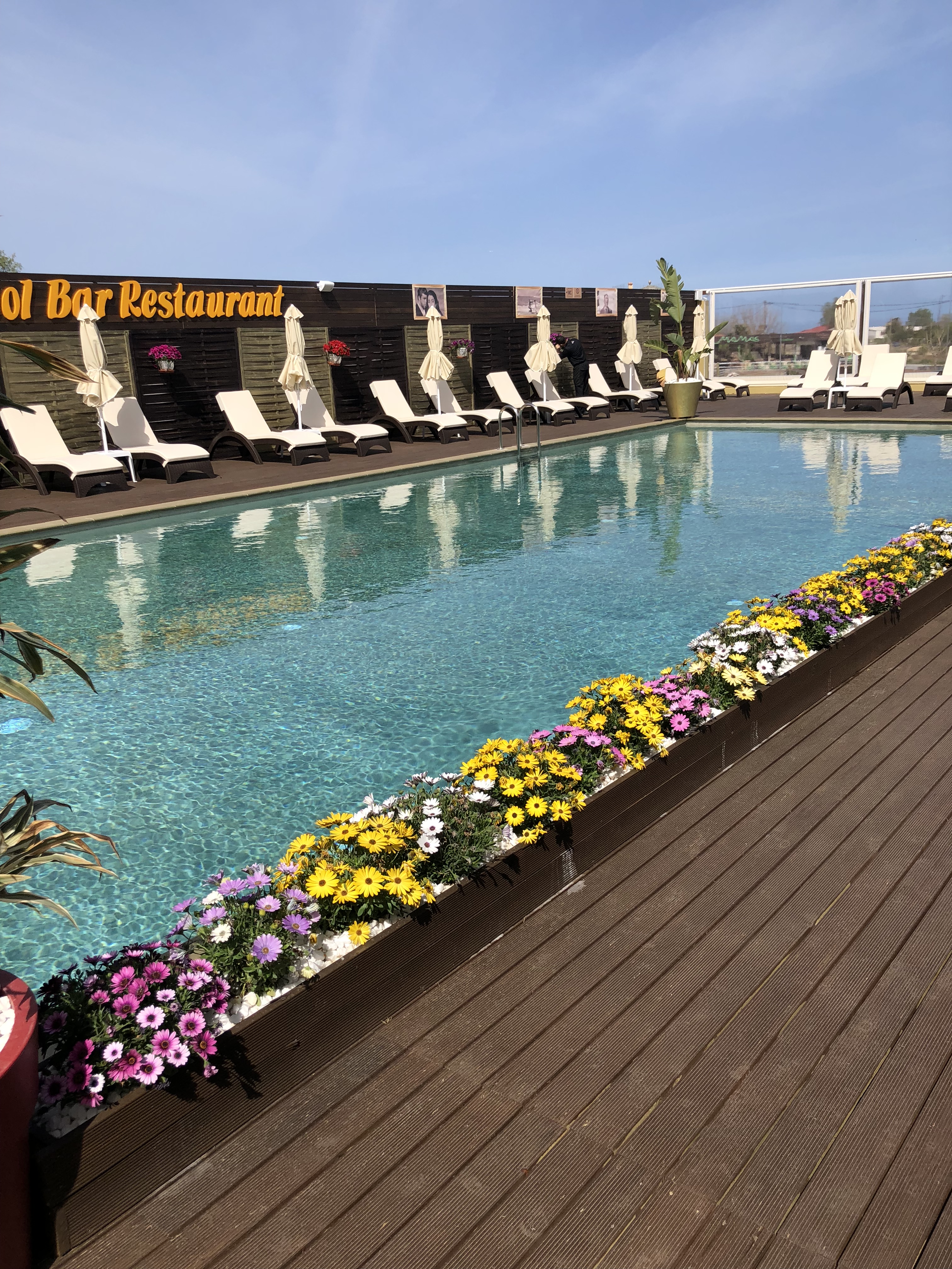 Paradice Hotel