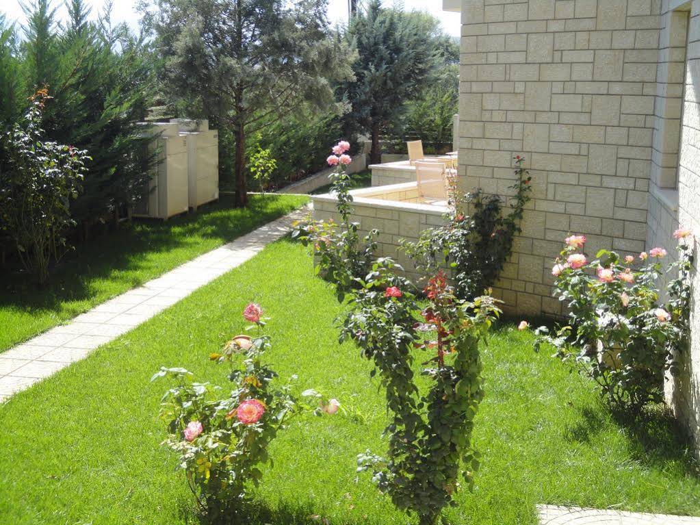 Anemolia Resort