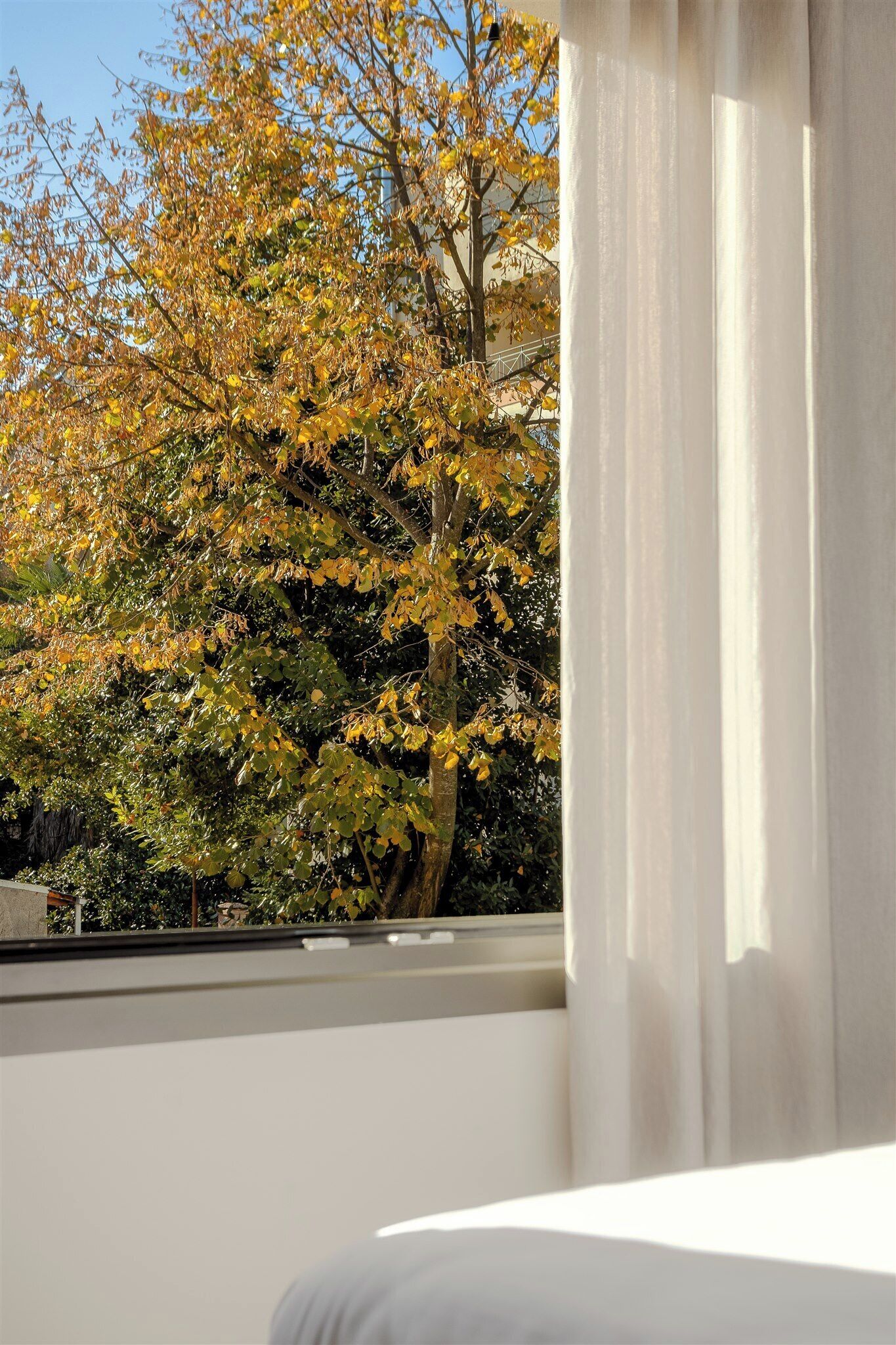 Anvy Stylish Suites Ioannina