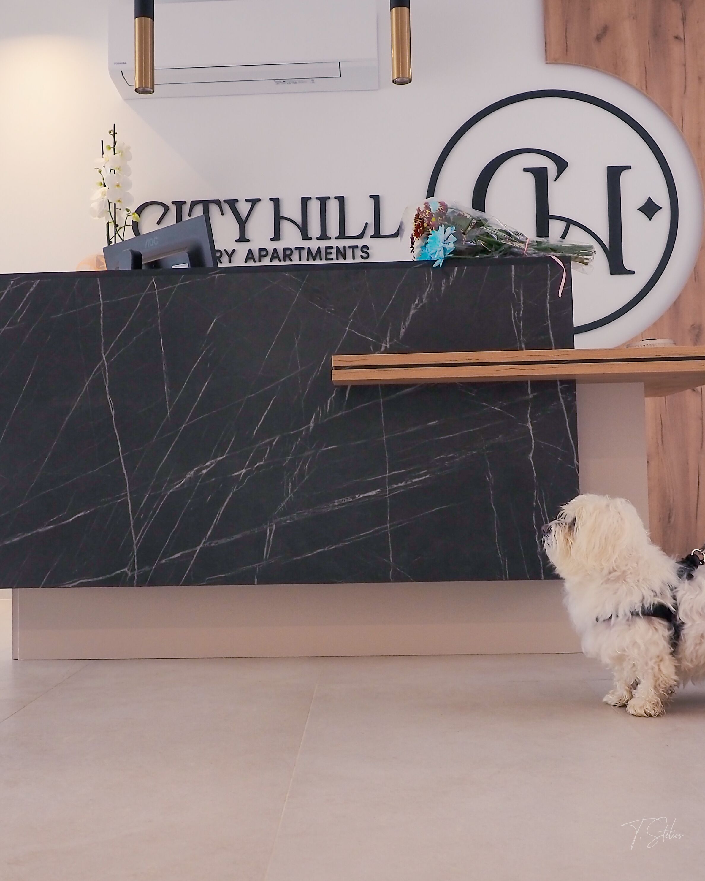 City Hill Luxury Apartments