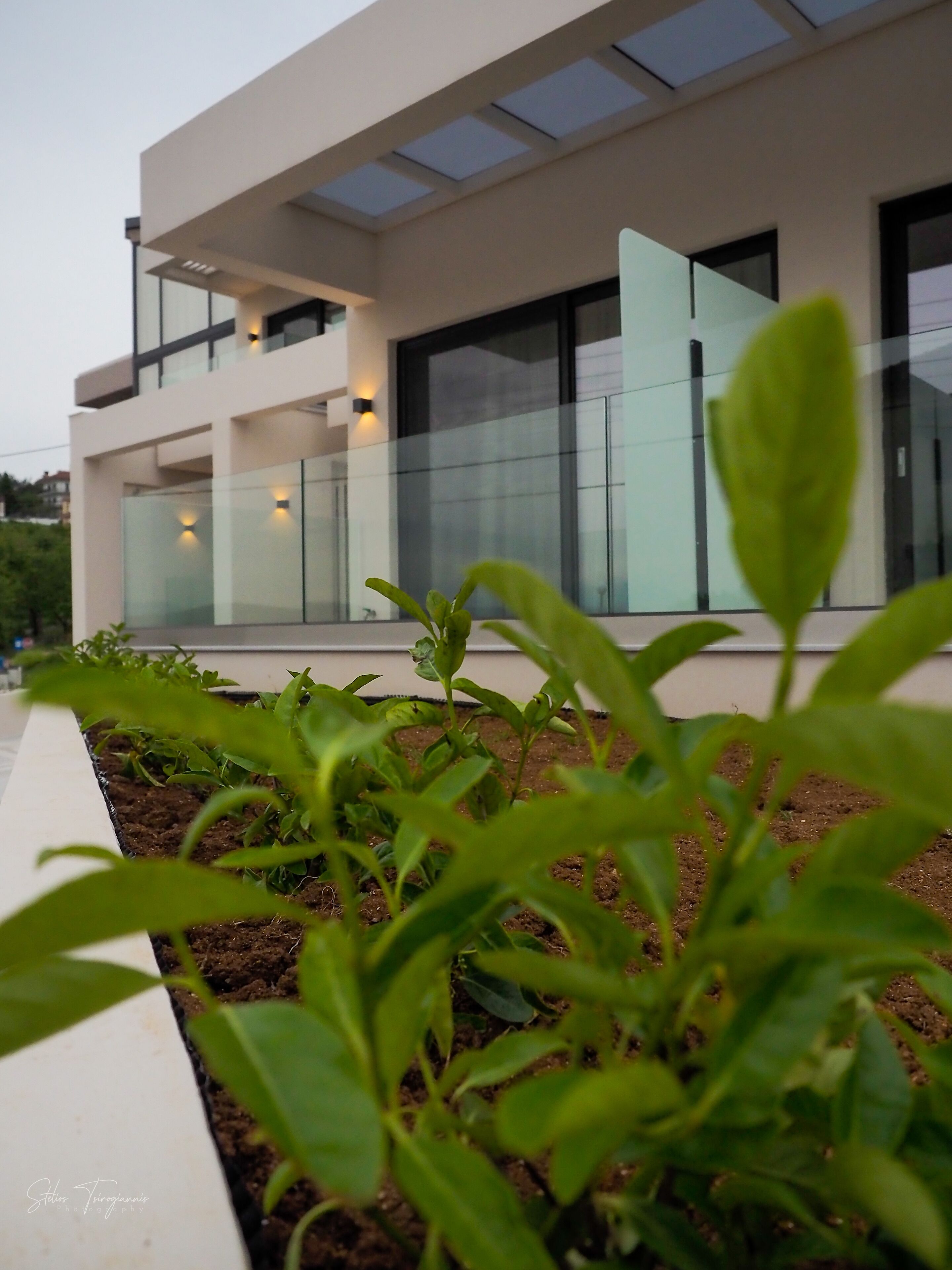 City Hill Luxury Apartments