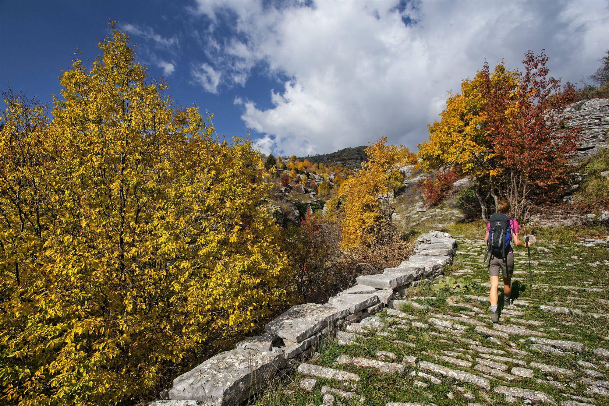 Epirus Palace Hotel & Conference Center