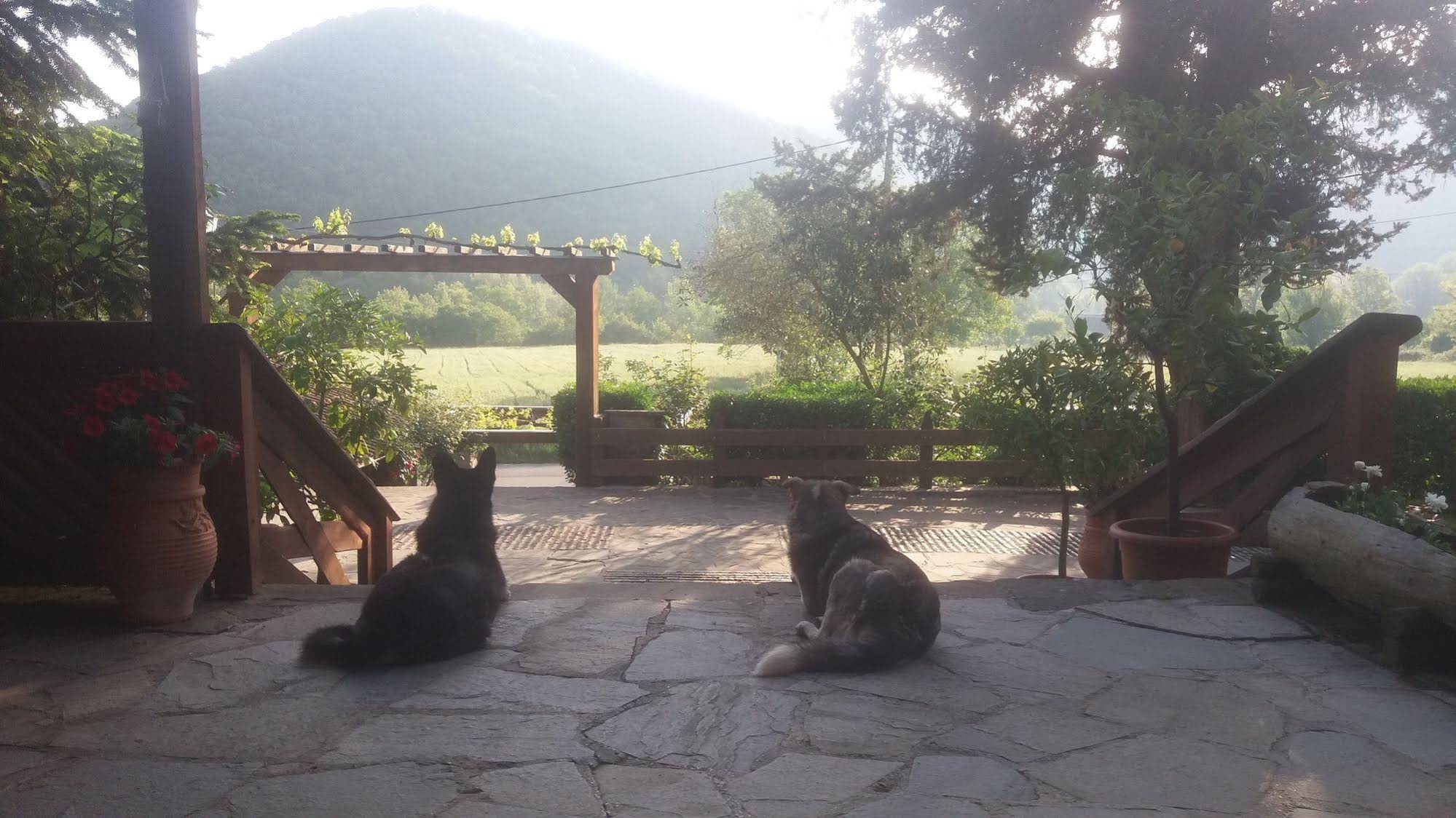 Bourazani Wildlife Resort