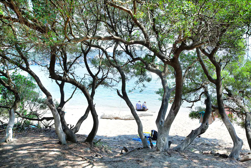 Enjoy Lichnos Bay Village, Camping & Apartments