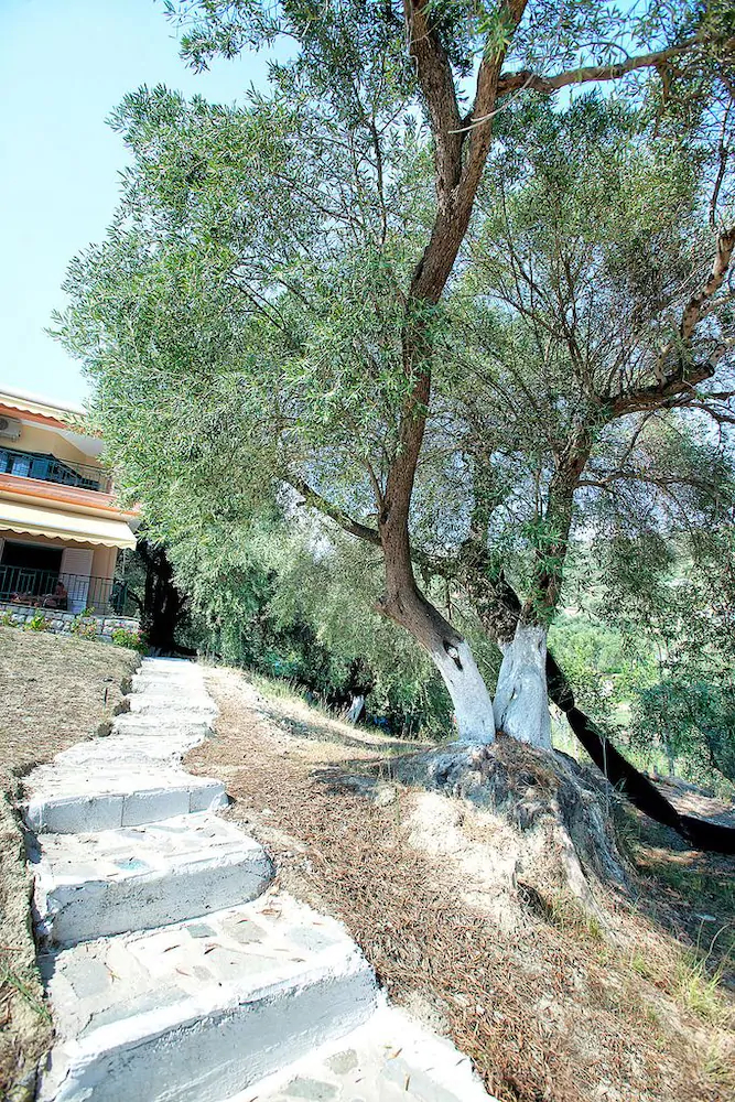 Enjoy Lichnos Bay Village, Camping & Apartments