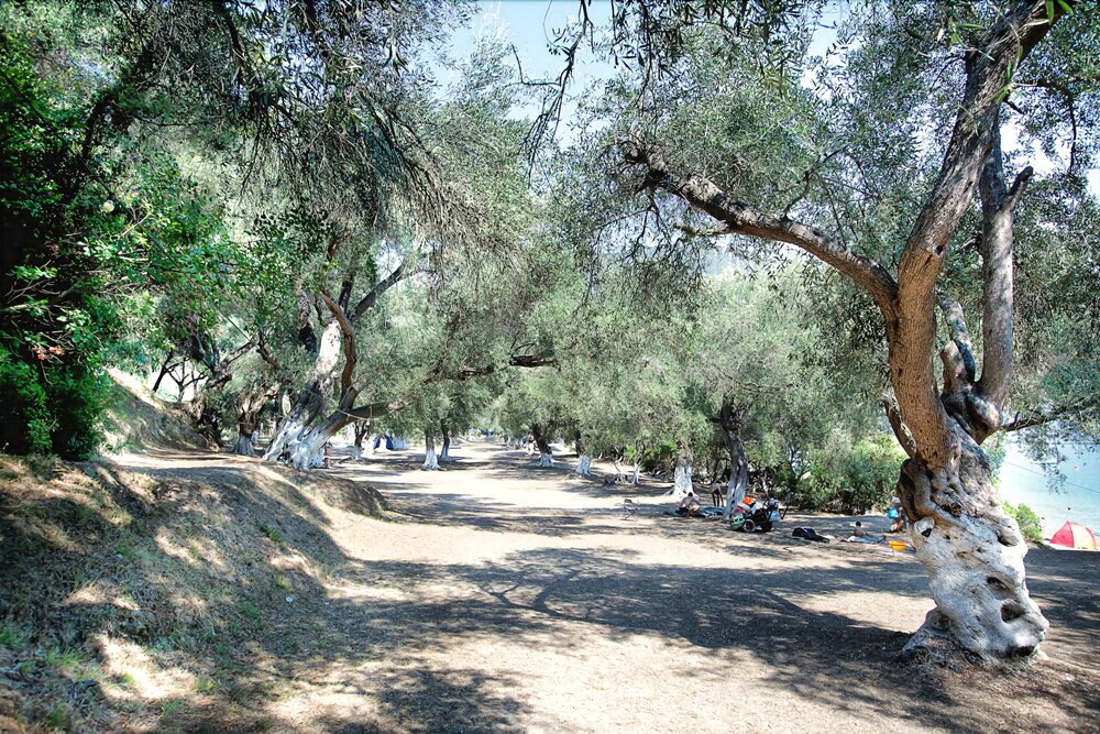 Enjoy Lichnos Bay Village, Camping & Apartments