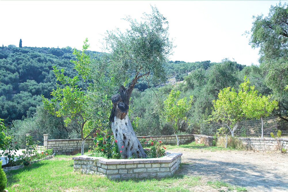 Enjoy Lichnos Bay Village, Camping & Apartments