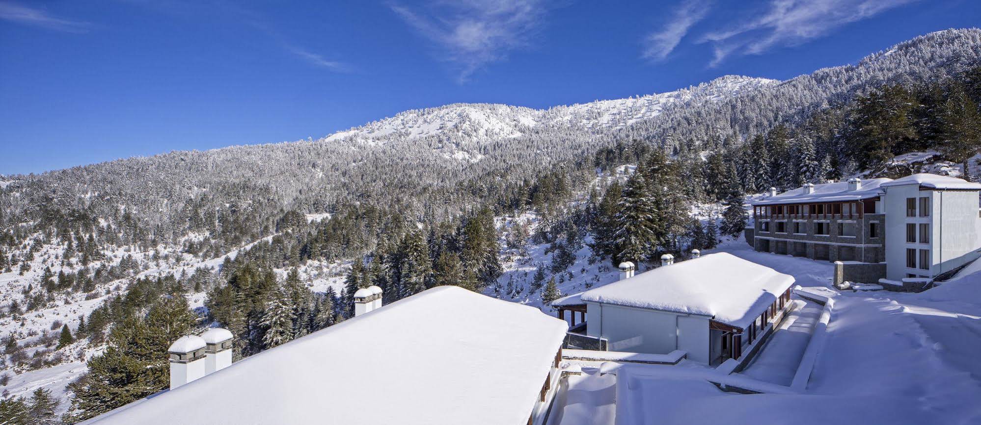 Grand Forest Metsovo