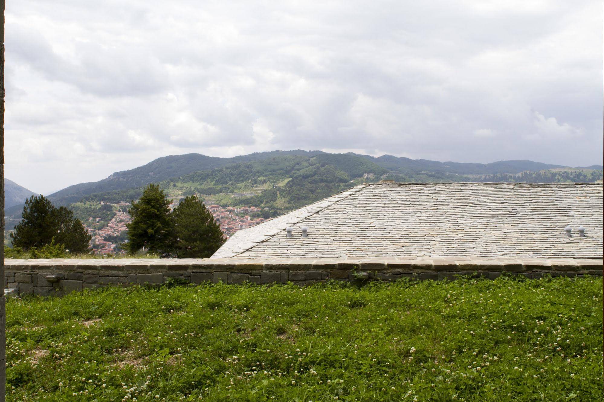 Grand Forest Metsovo