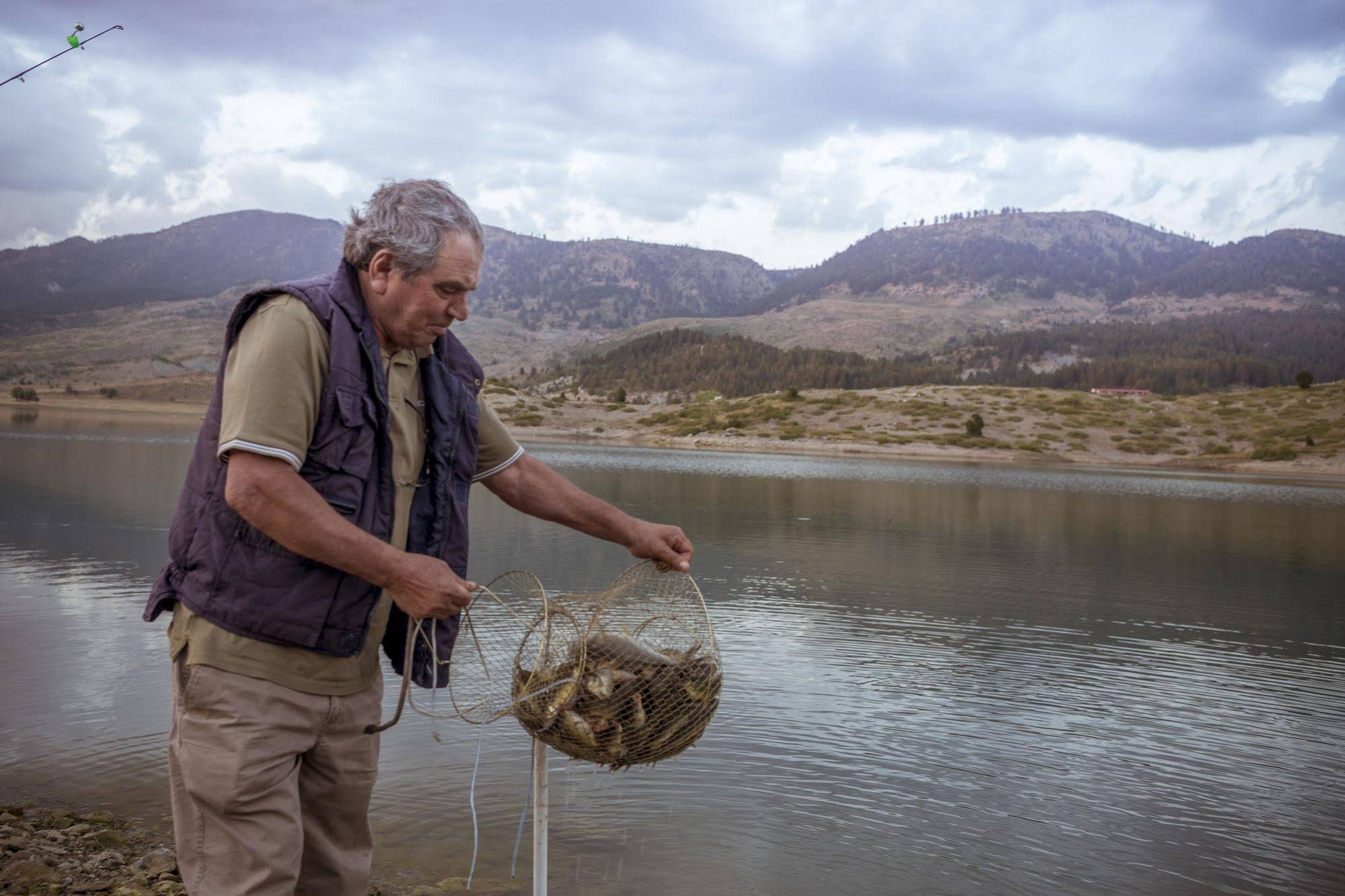 Grand Forest Metsovo