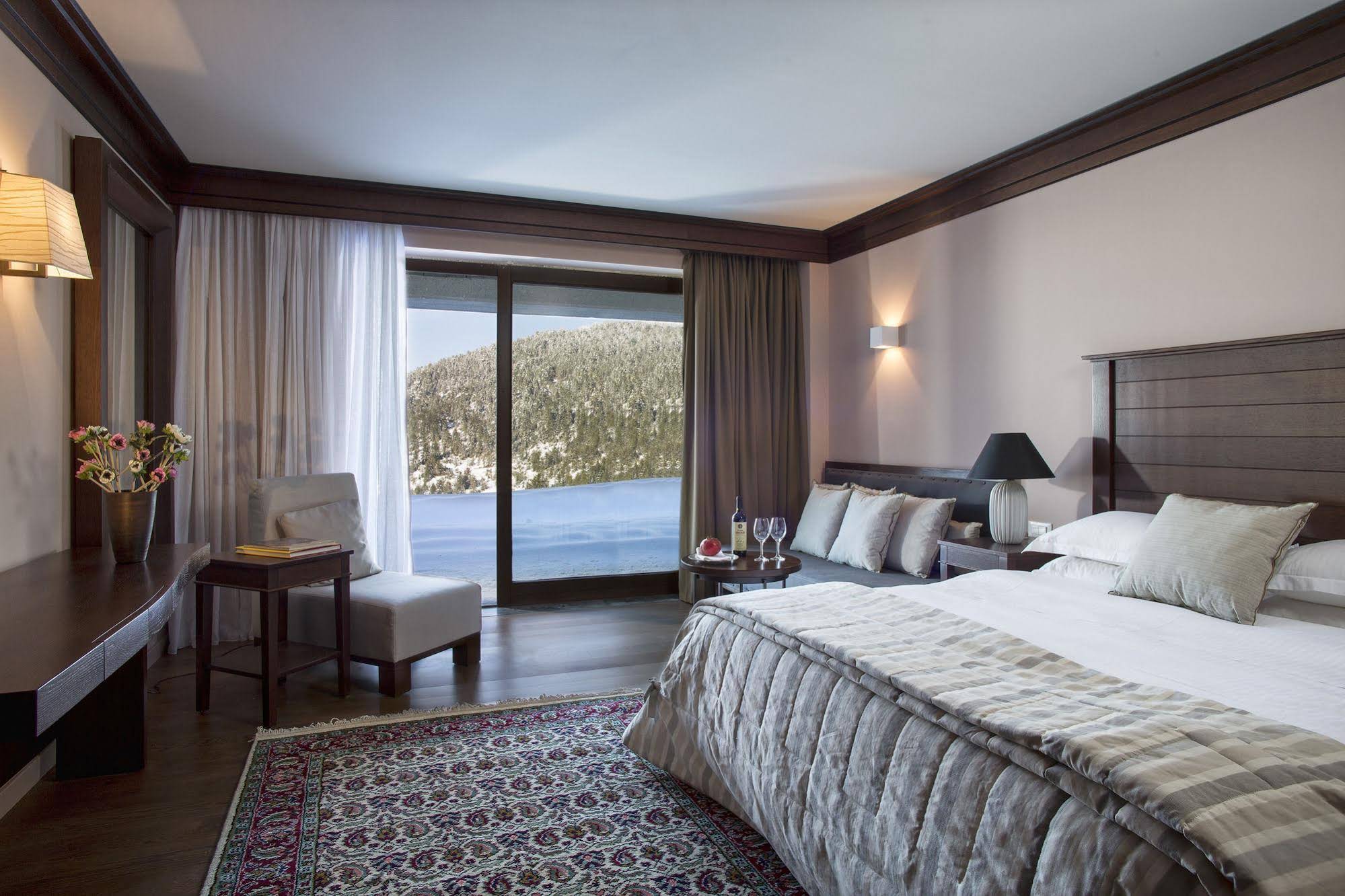 Grand Forest Metsovo