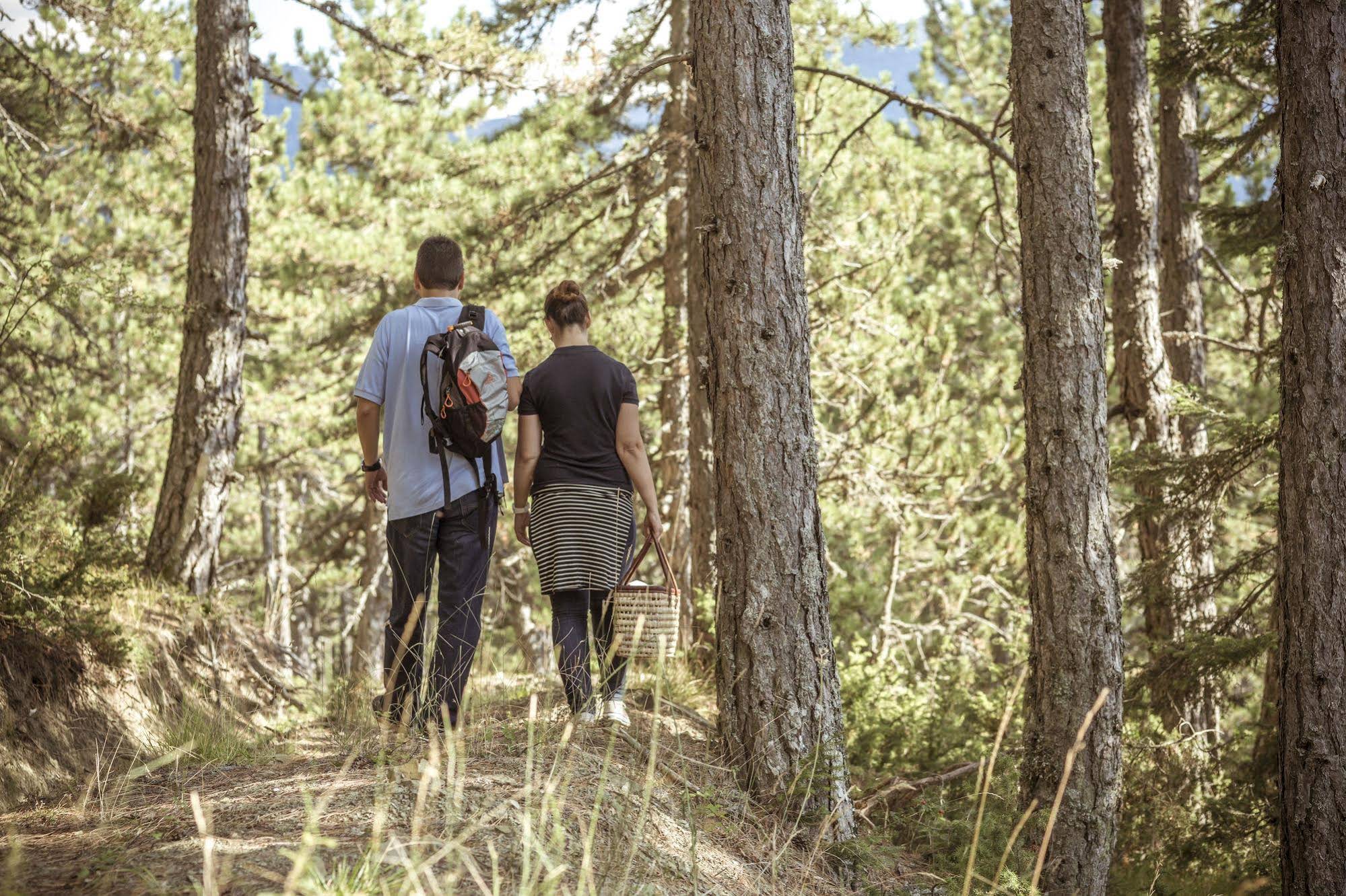 Grand Forest Metsovo