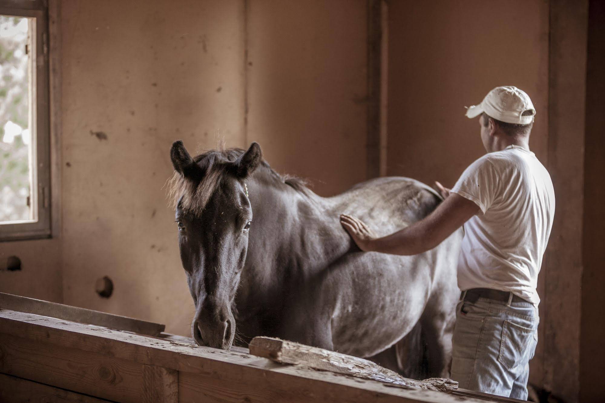 Grand Forest Metsovo