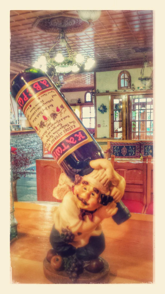 Hotel Asteri Metsovo