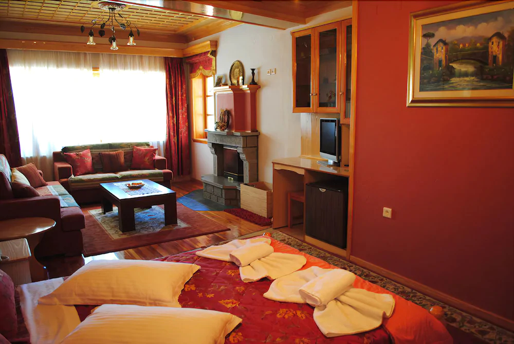 Hotel Asteri Metsovo