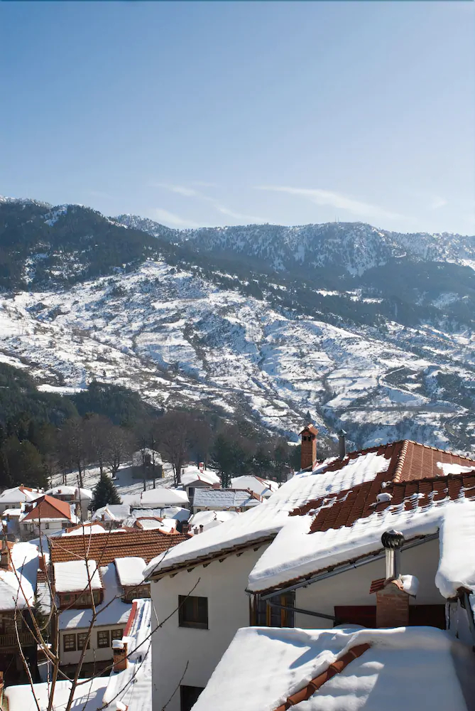 Hotel Asteri Metsovo