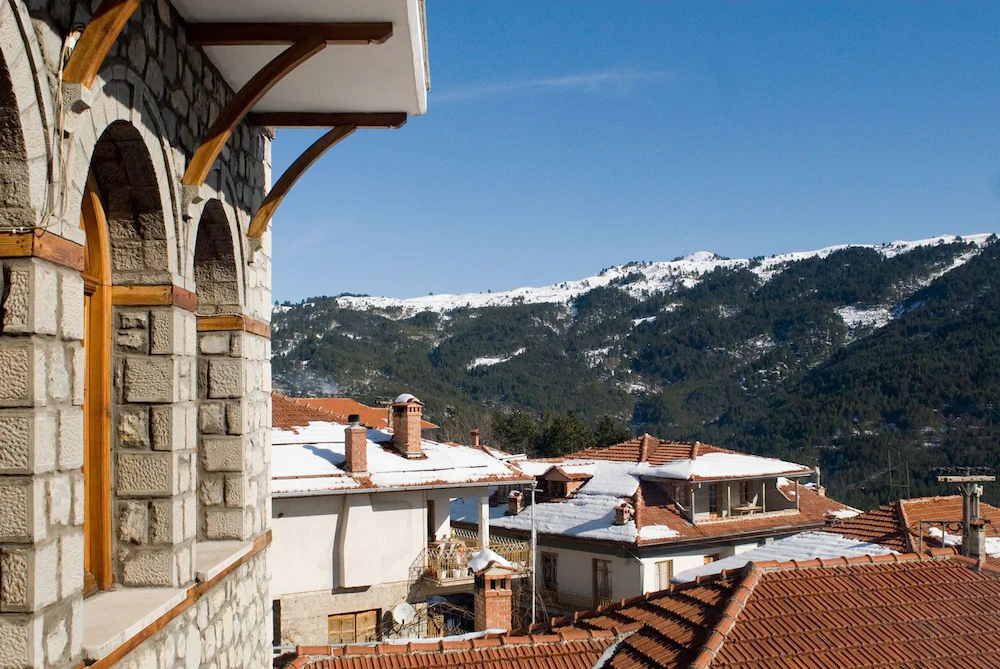 Hotel Asteri Metsovo