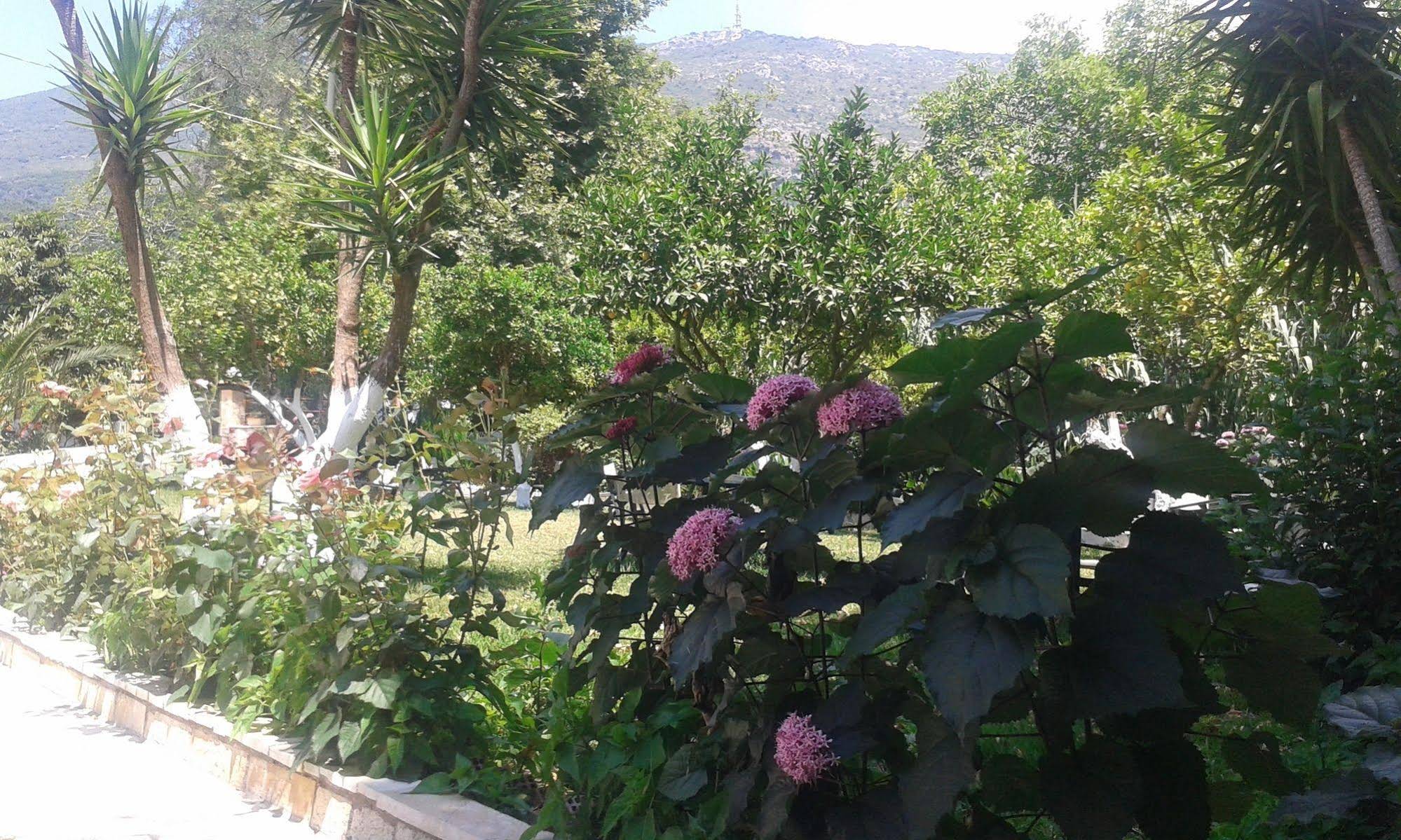 Dallas Valtos Studios