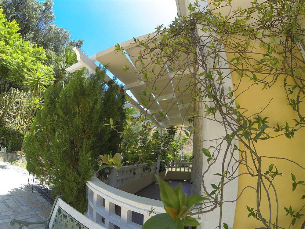 Golden Sun Apartments