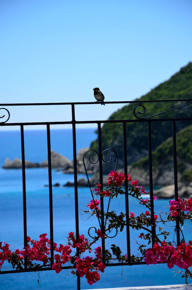 Mare Blu