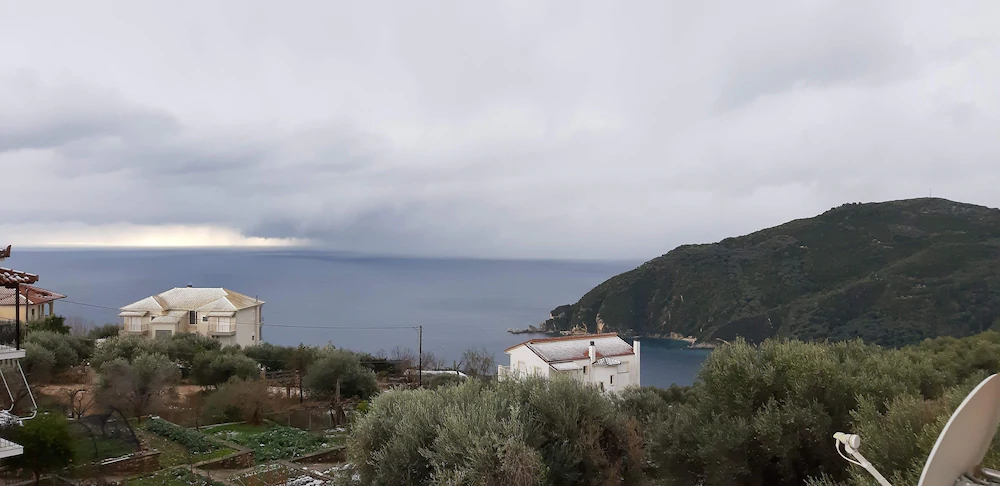 Olive Tree Apartments