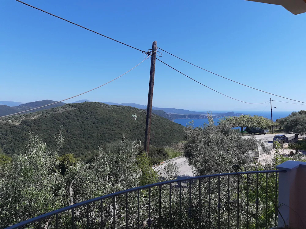 Olive Tree Apartments