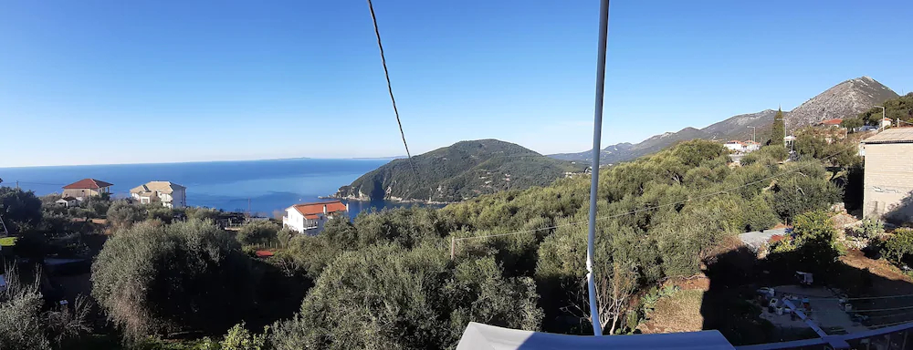 Olive Tree Apartments