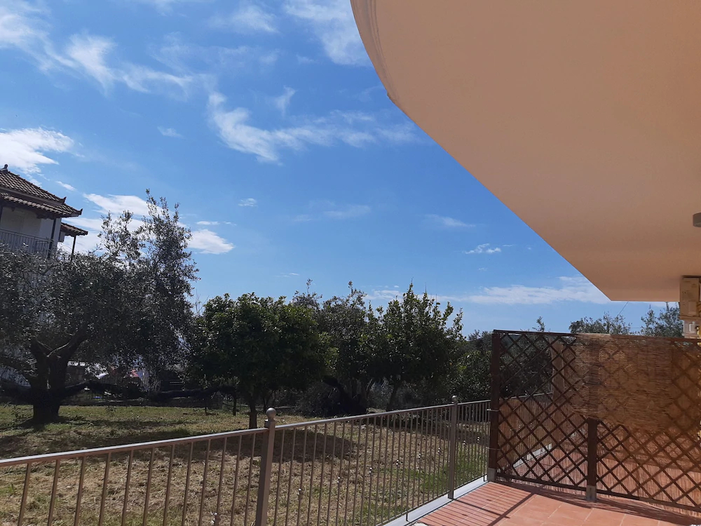 Olive Tree Apartments