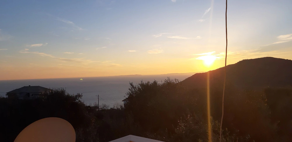 Olive Tree Apartments