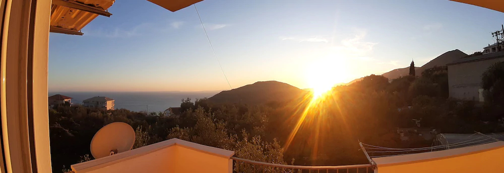 Olive Tree Apartments