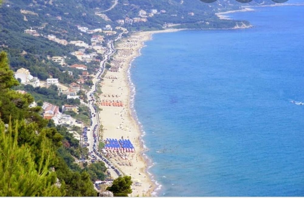 Olive Tree Apartments