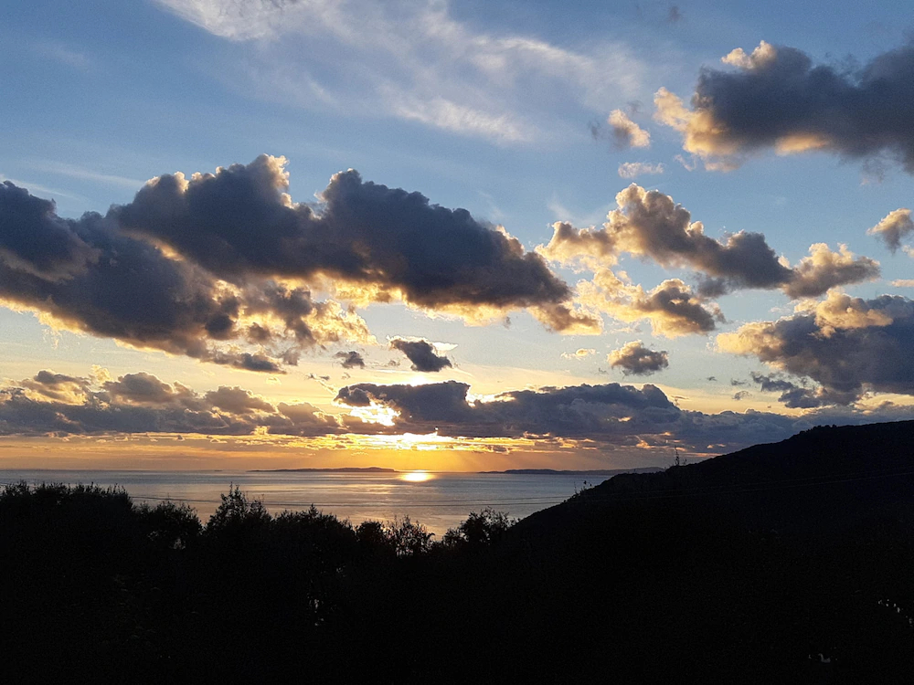 Olive Tree Apartments