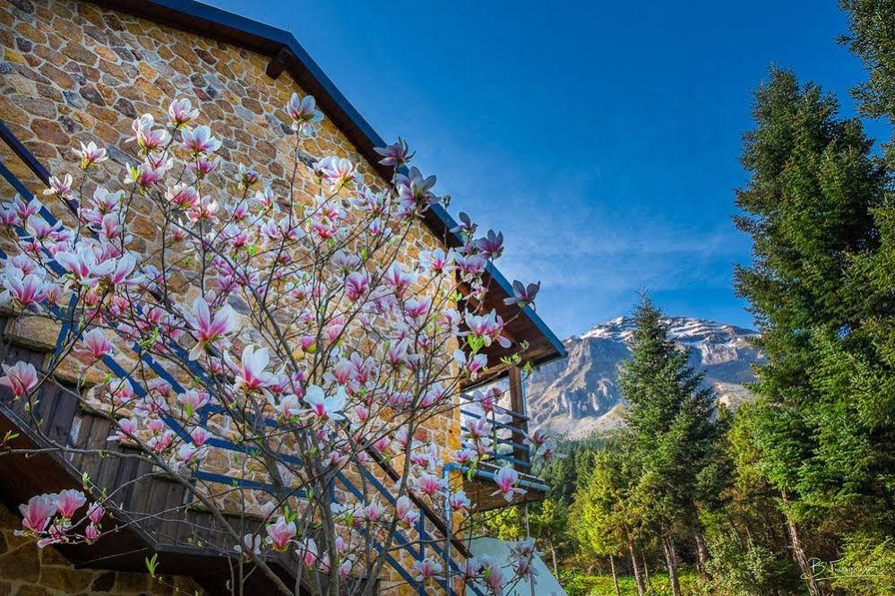 Orizontes Tzoumerkon Hotel Resort