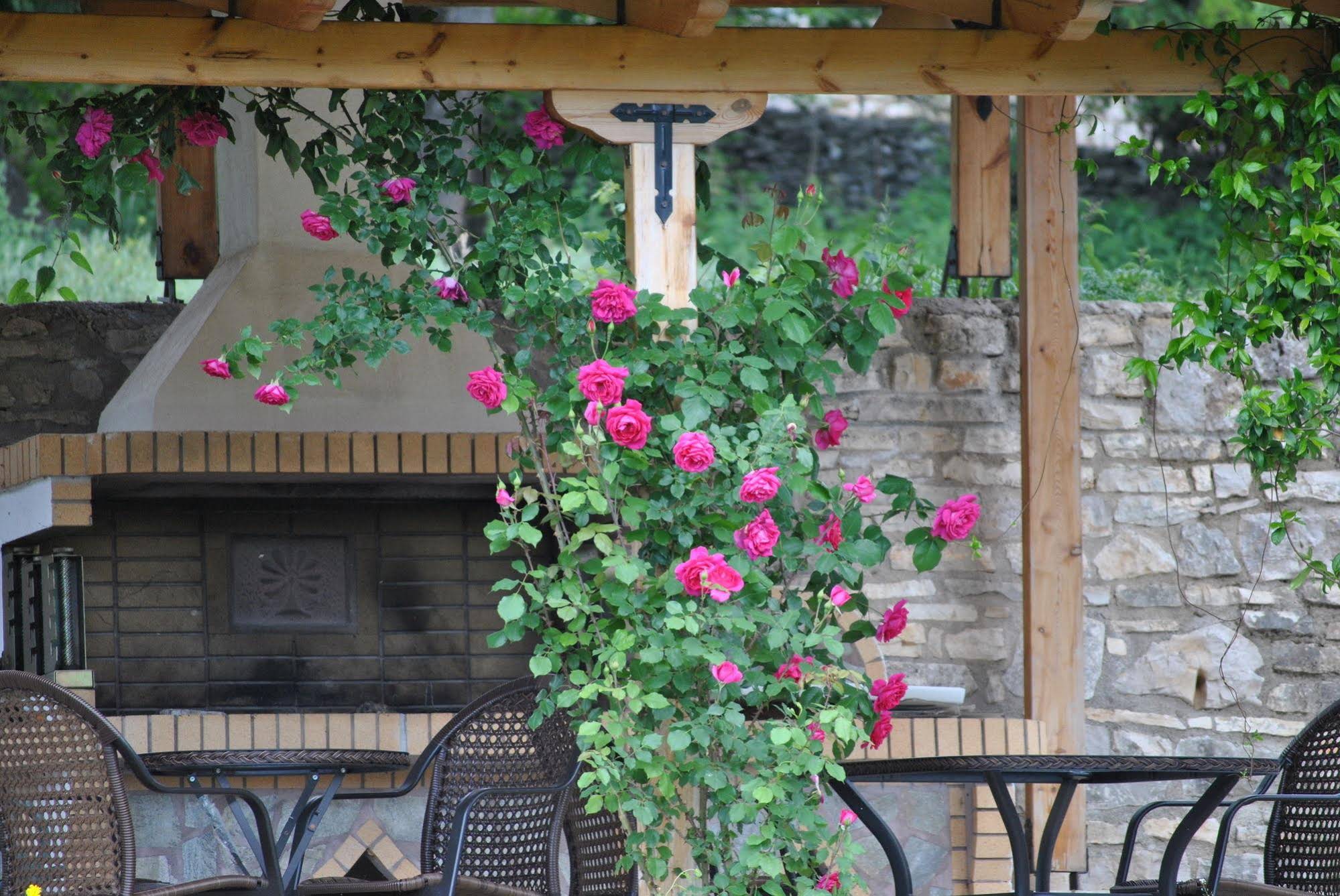 Guest House Rodami