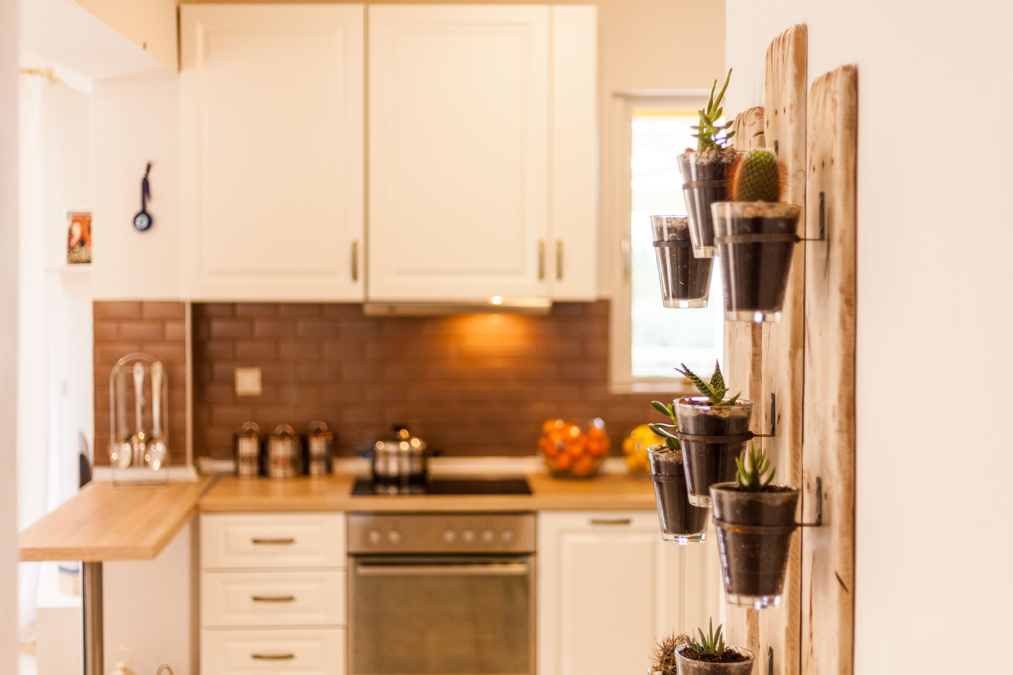 Villen Muscalas Elia