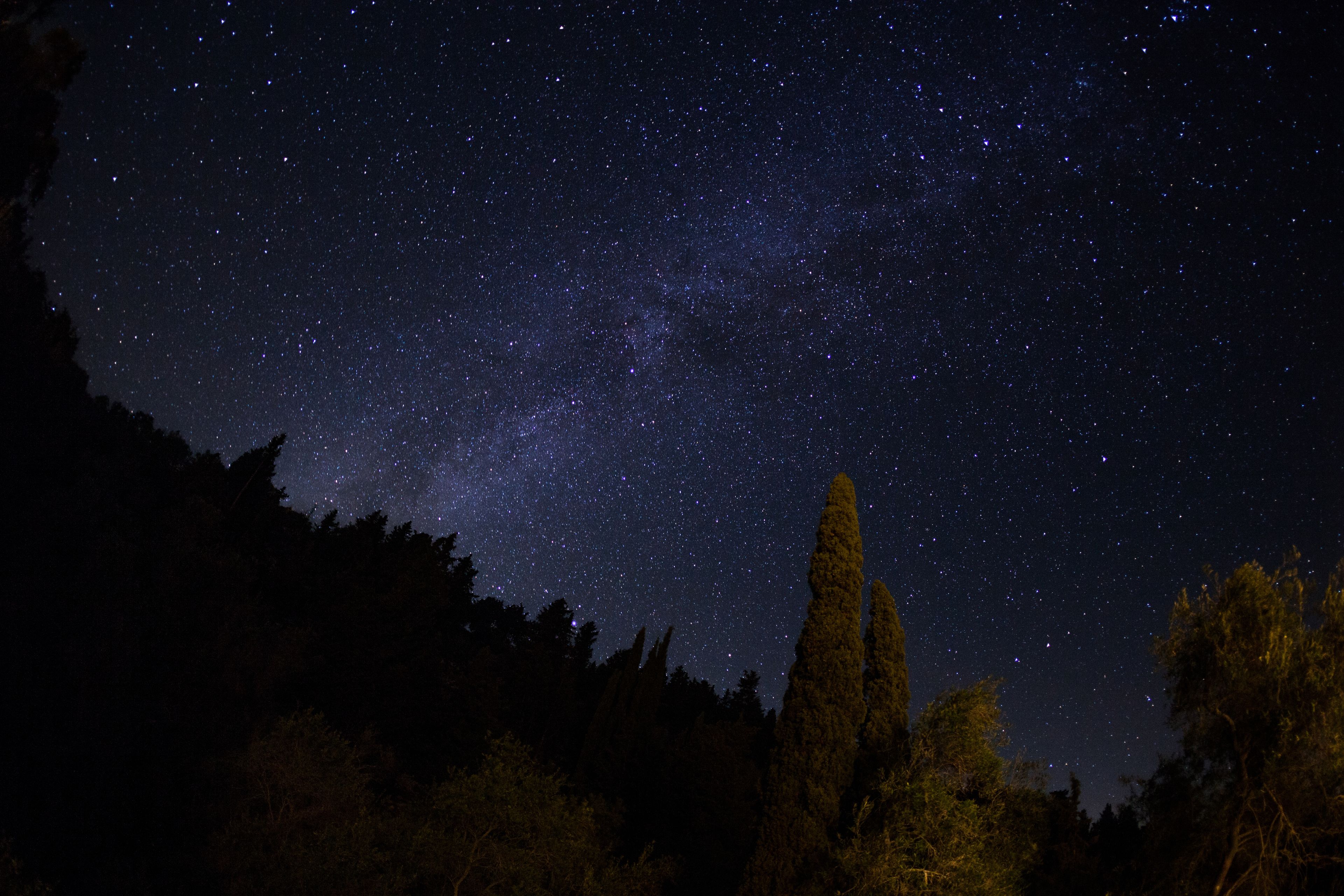 Villen Muscalas Elia