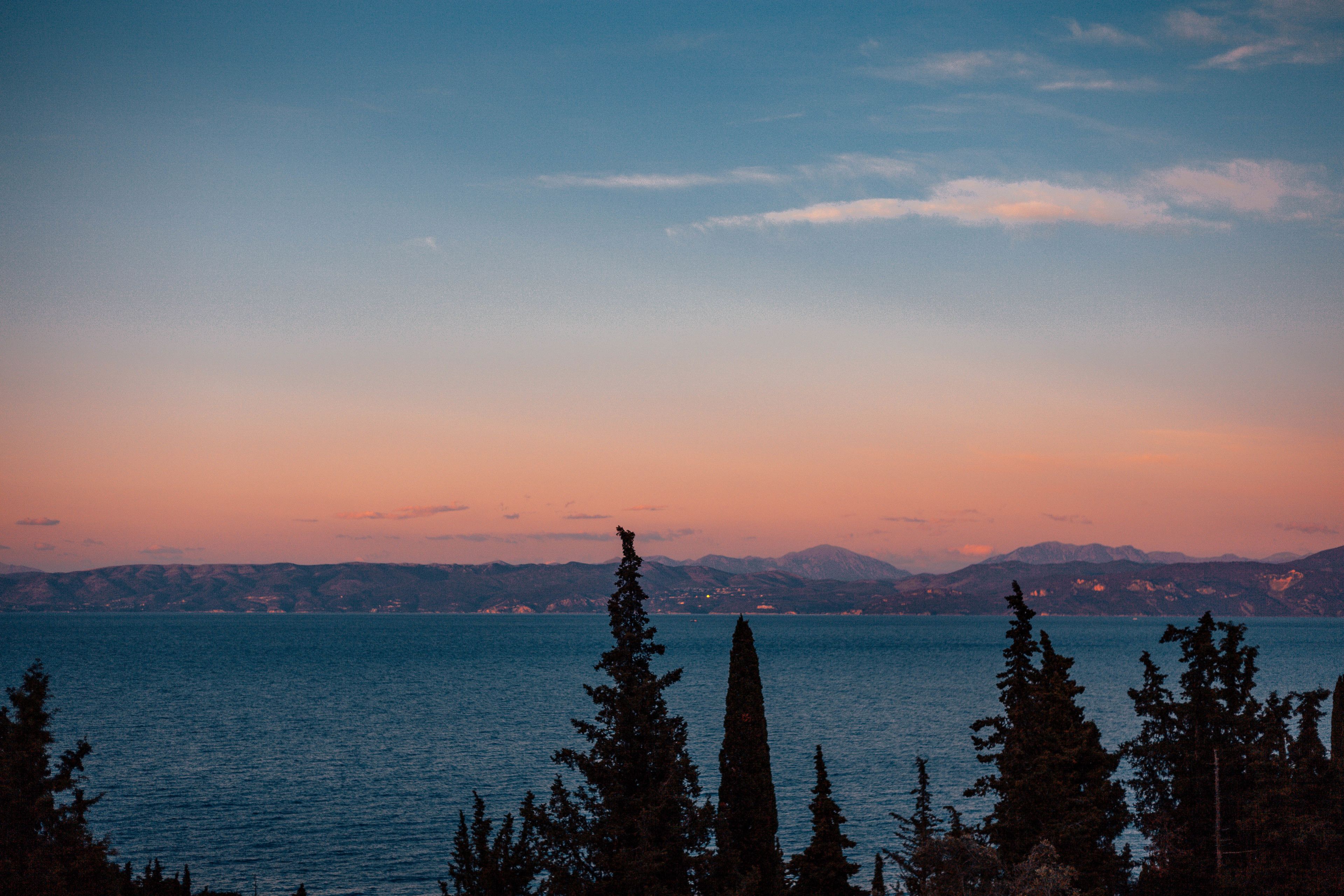 Villen Muscalas Elia