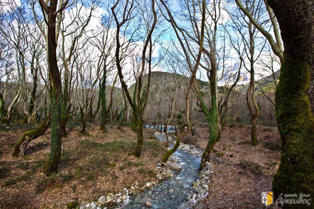 Arkefthos Mountain Hotel