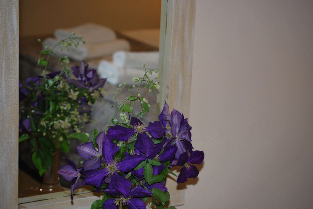 Rodia Boutique Hotel