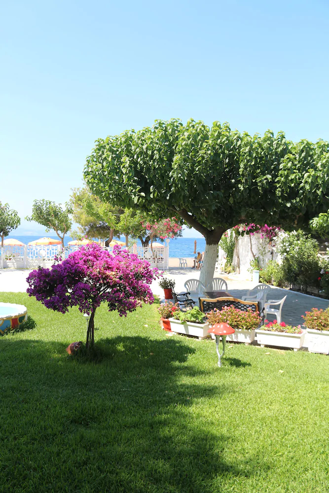 Pension Akrogiali