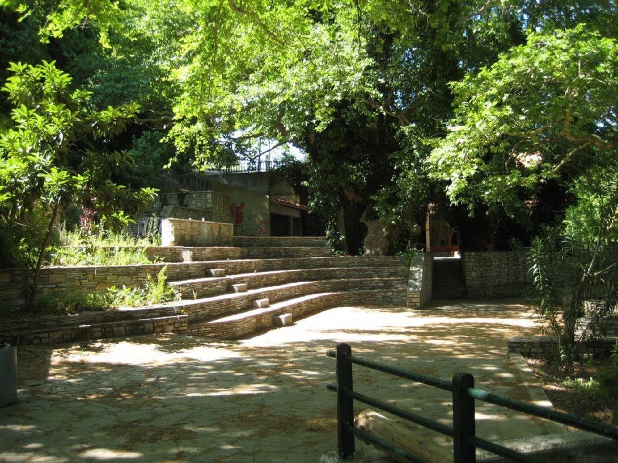 Estate Olive Grove