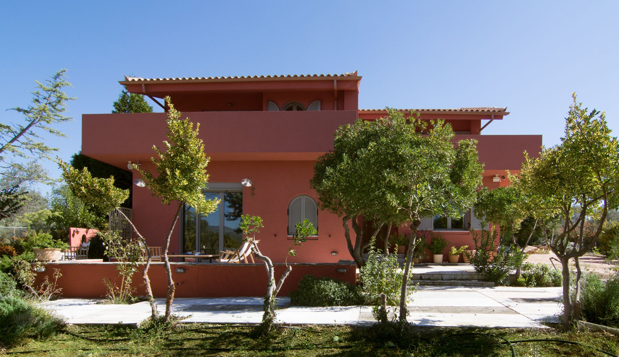 Estate Olive Grove