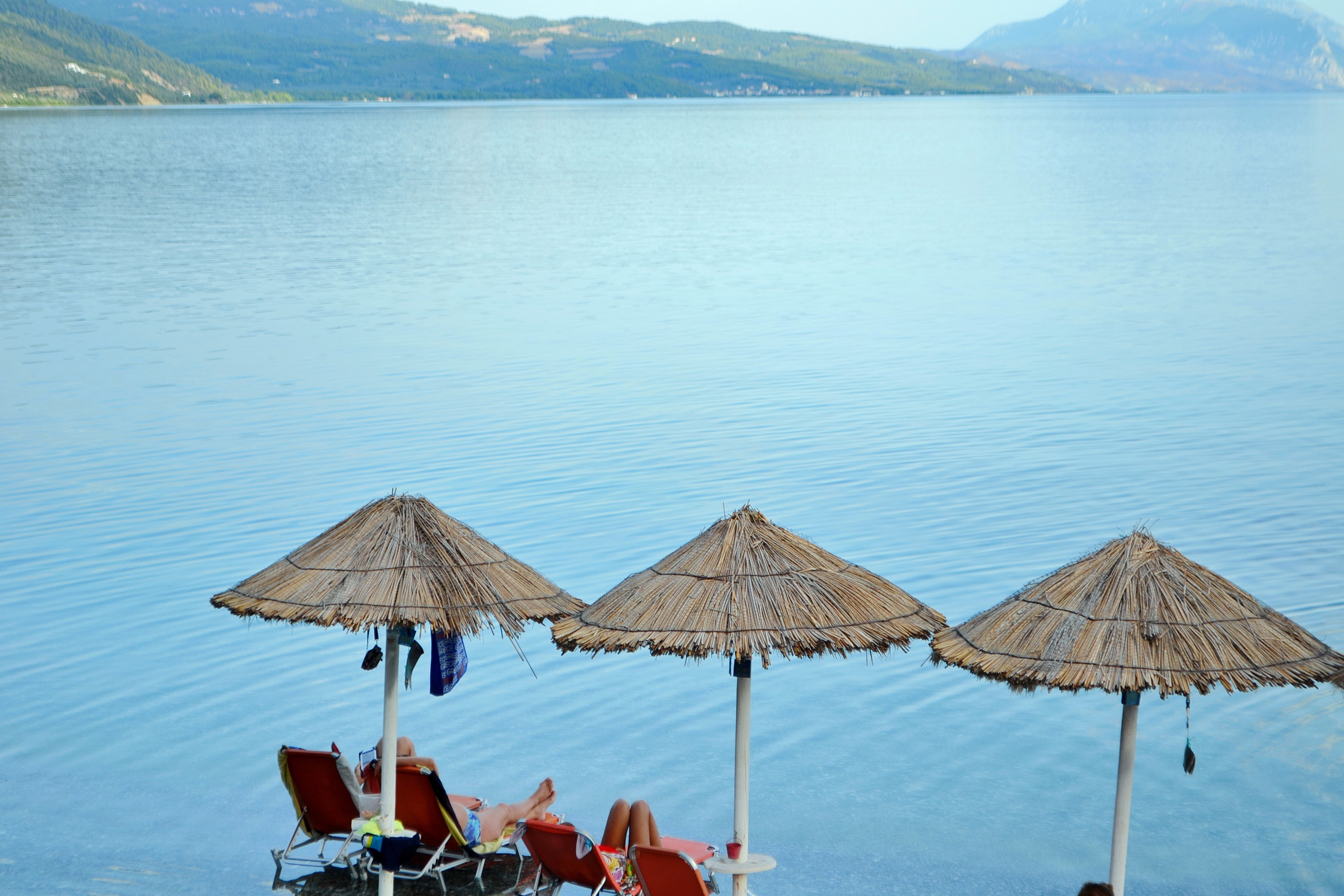 Ilia mare