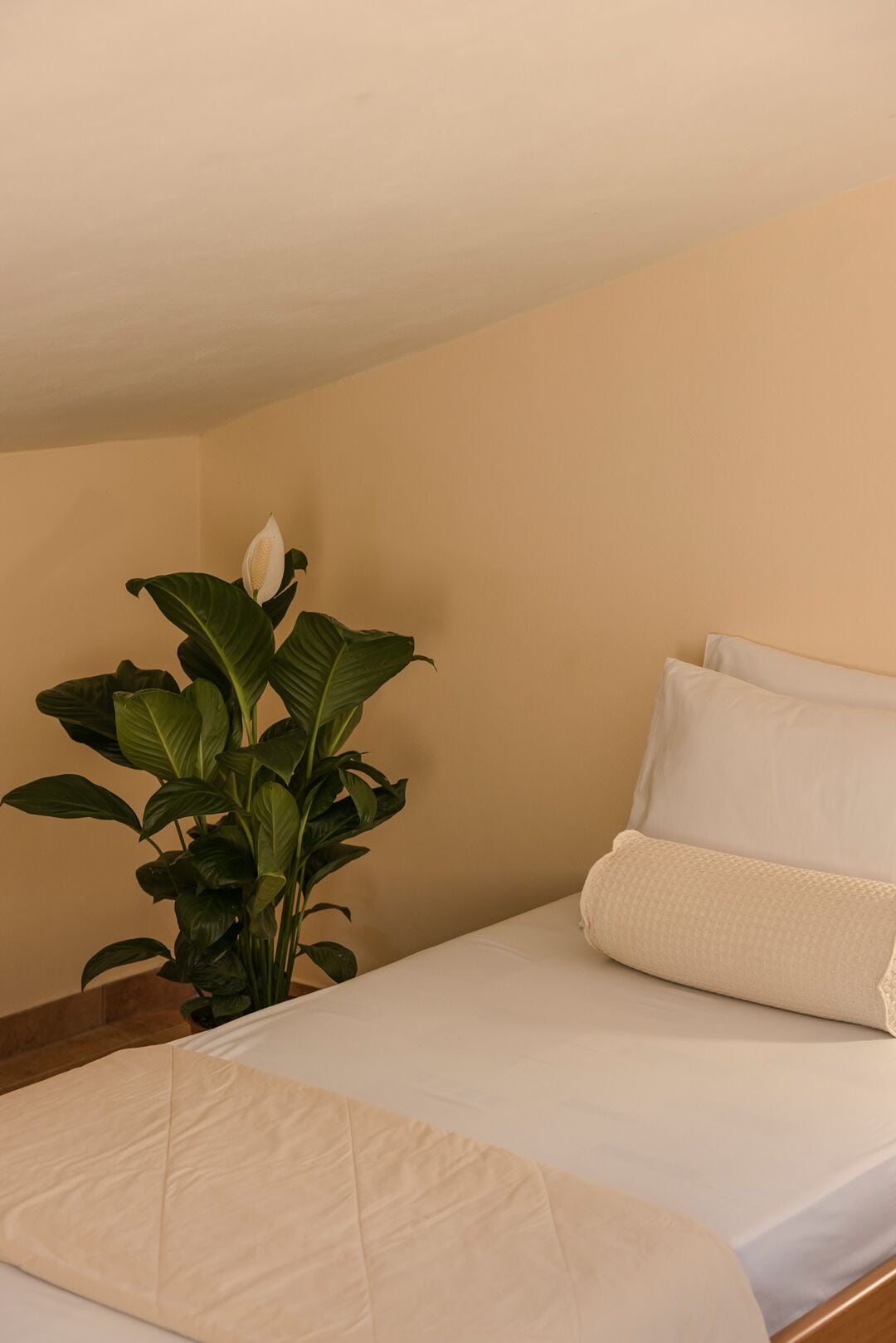 Valledi Village Hotel