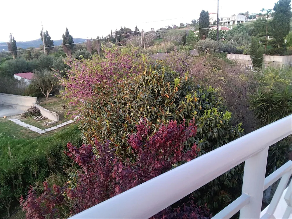 Villa Serenity