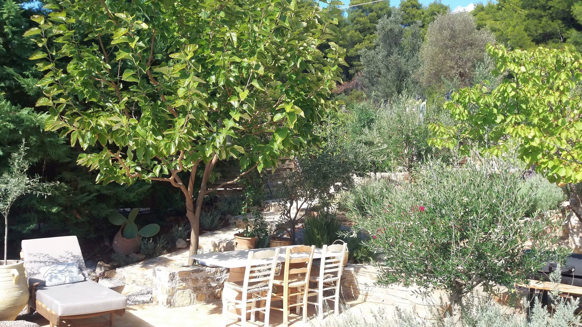 Evia Foxhouse