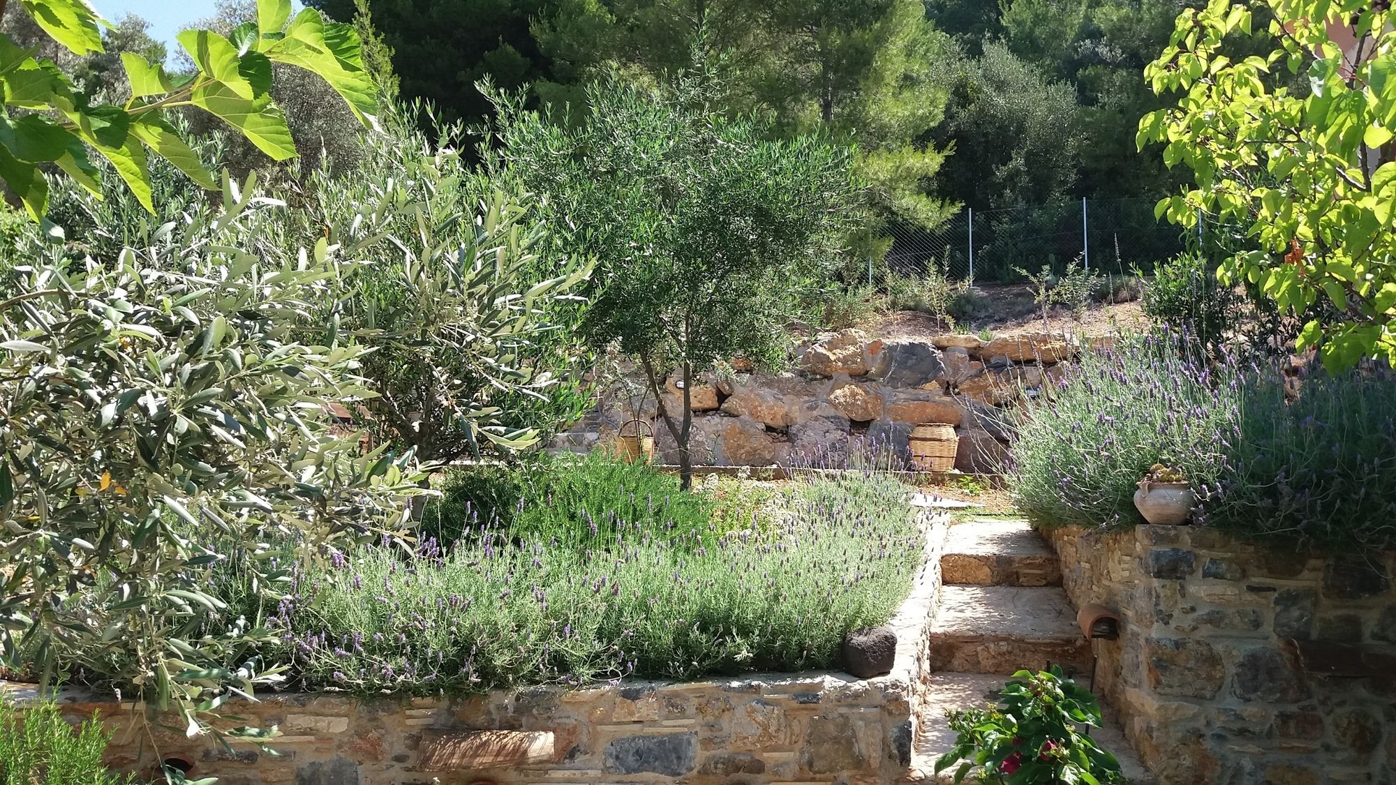 Evia Foxhouse